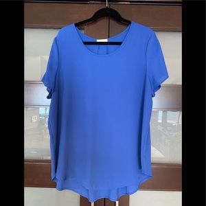 Pleione Blue Blouse